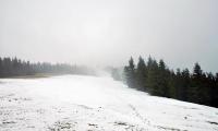 DSC_0175_resize.jpg
